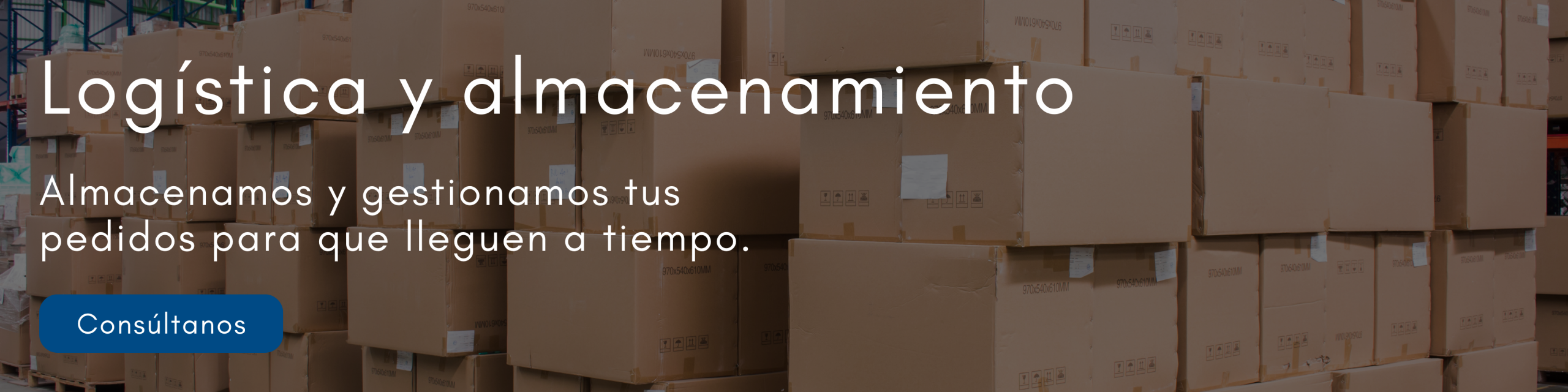 Banner-Desktop-Logística Banner desktop: logística y almacenamiento en Evalcris
