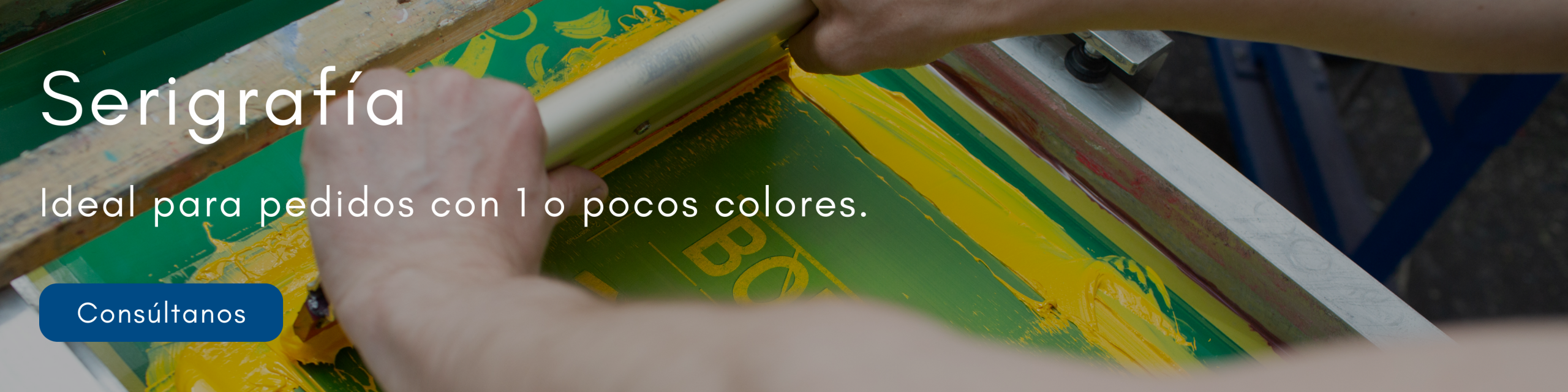 Banner Serigrafía desktop